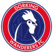 Dorking Wanderers B